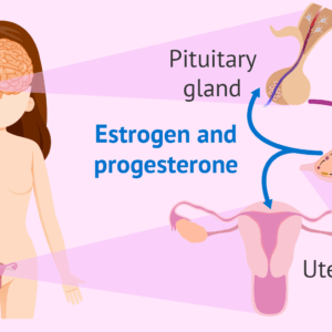Η υγεία της γυναίκας: Ορμόνες, γονιμότητα, υπογεννητικότητα, καρκίνος του μαστού και ηλικία